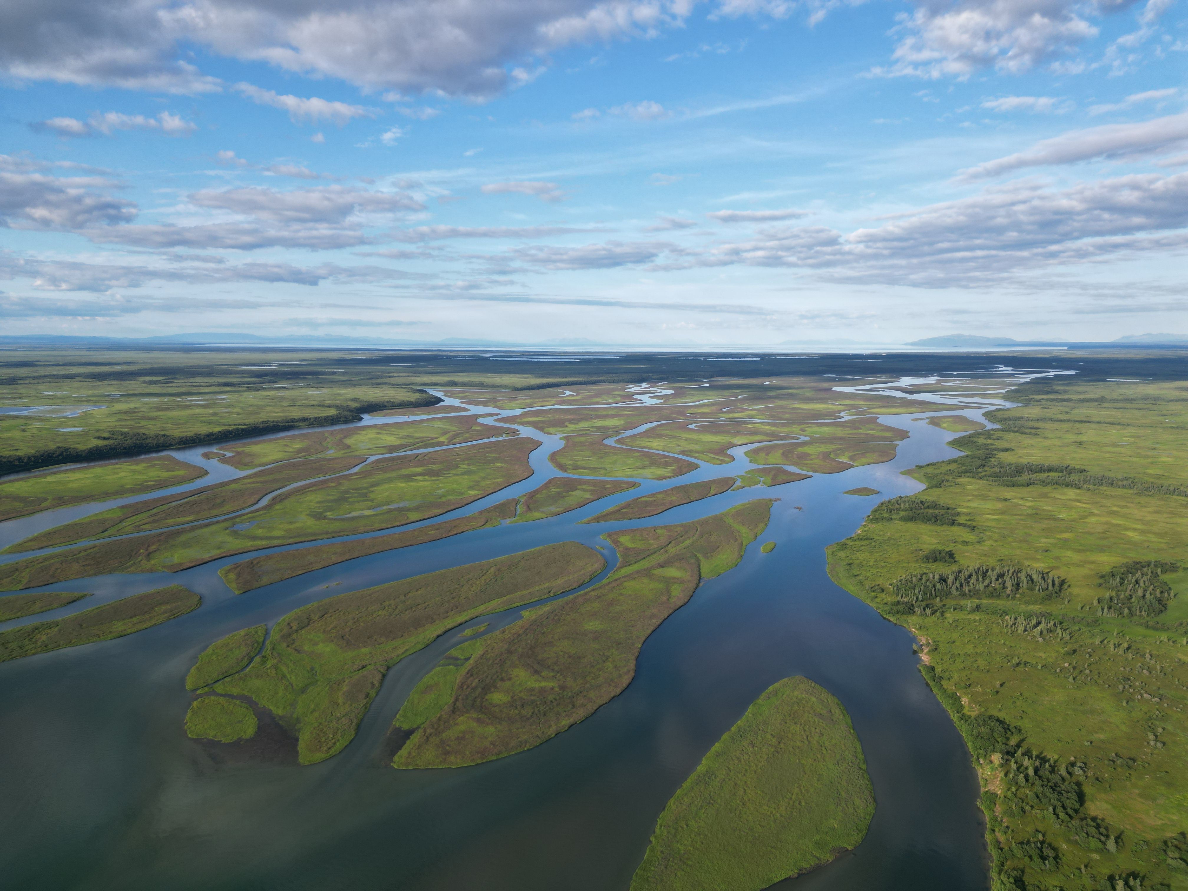 Photo of Kvichak braids. Photo credit: Tribal Stewardship Lab.